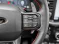 Ford F 150 2025 Raptor € 91500 +801A RAPTOR® HIGH Zwart - thumbnail 20