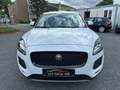 Jaguar E-Pace E-PACE S AWD Top Zustand Blanc - thumbnail 7