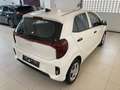 Kia Picanto 68PS.Benzin  Titan 5 Sitze Weiß - thumbnail 4