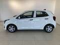 Kia Picanto 68PS.Benzin  Titan 5 Sitze Weiß - thumbnail 3