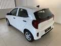 Kia Picanto 68PS.Benzin  Titan 5 Sitze Weiß - thumbnail 5