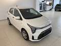 Kia Picanto 68PS.Benzin  Titan 5 Sitze Weiß - thumbnail 2