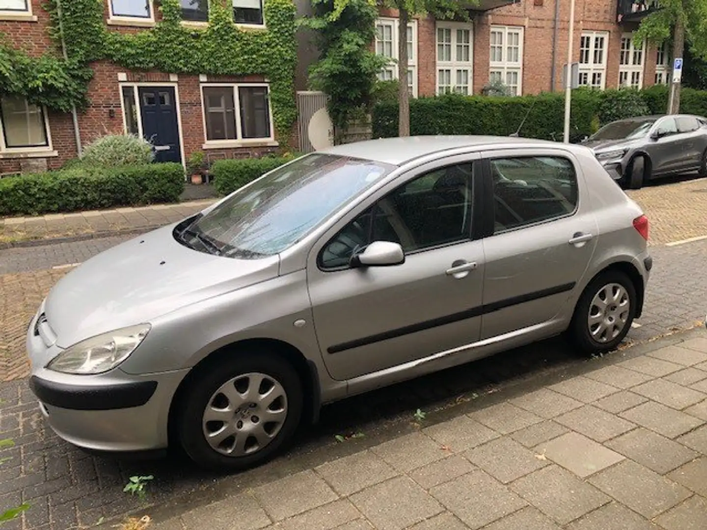 Peugeot 307 307 1.6-16V 5drs Zilver - 1