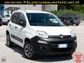 Fiat Panda 0.9 TWINAIR TURBO S&S 4X4 POP VAN 2 POSTI AUTOCARR Bianco - thumbnail 1