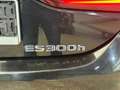 Lexus ES 300 ES 300h Luxury Line Noir - thumbnail 9