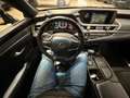 Lexus ES 300 ES 300h Luxury Line Noir - thumbnail 14
