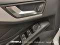 Ford Focus SW 1.5 Ecoblue Business Automatica - thumbnail 10