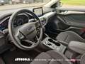 Ford Focus SW 1.5 Ecoblue Business Automatica - thumbnail 4