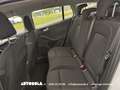 Ford Focus SW 1.5 Ecoblue Business Automatica - thumbnail 9
