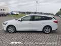 Ford Focus SW 1.5 Ecoblue Business Automatica - thumbnail 2