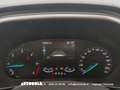 Ford Focus SW 1.5 Ecoblue Business Automatica - thumbnail 5