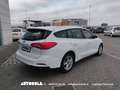 Ford Focus SW 1.5 Ecoblue Business Automatica - thumbnail 3