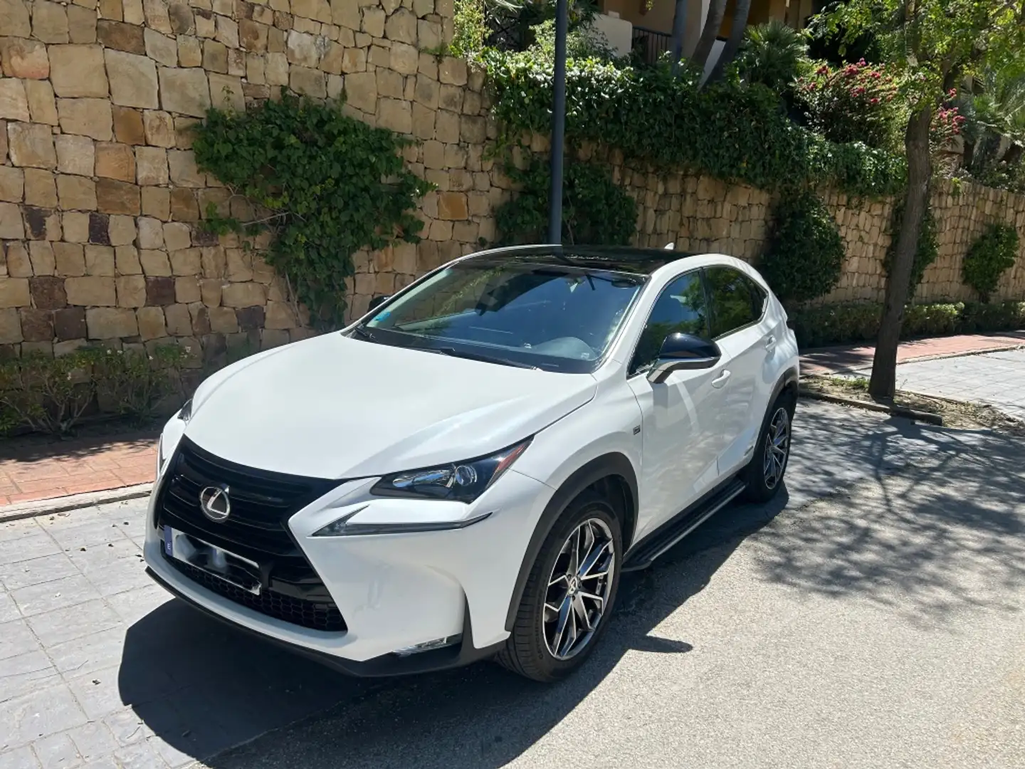 Lexus NX 300 300h Sport Edition 2WD Bílá - 1