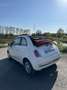 Fiat 500 Lounge Weiß - thumbnail 9