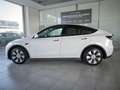 Tesla Model Y Dual 513 Cv 36 mesi garanzia Bianco - thumbnail 2
