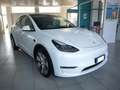 Tesla Model Y Dual 513 Cv 36 mesi garanzia Bianco - thumbnail 4