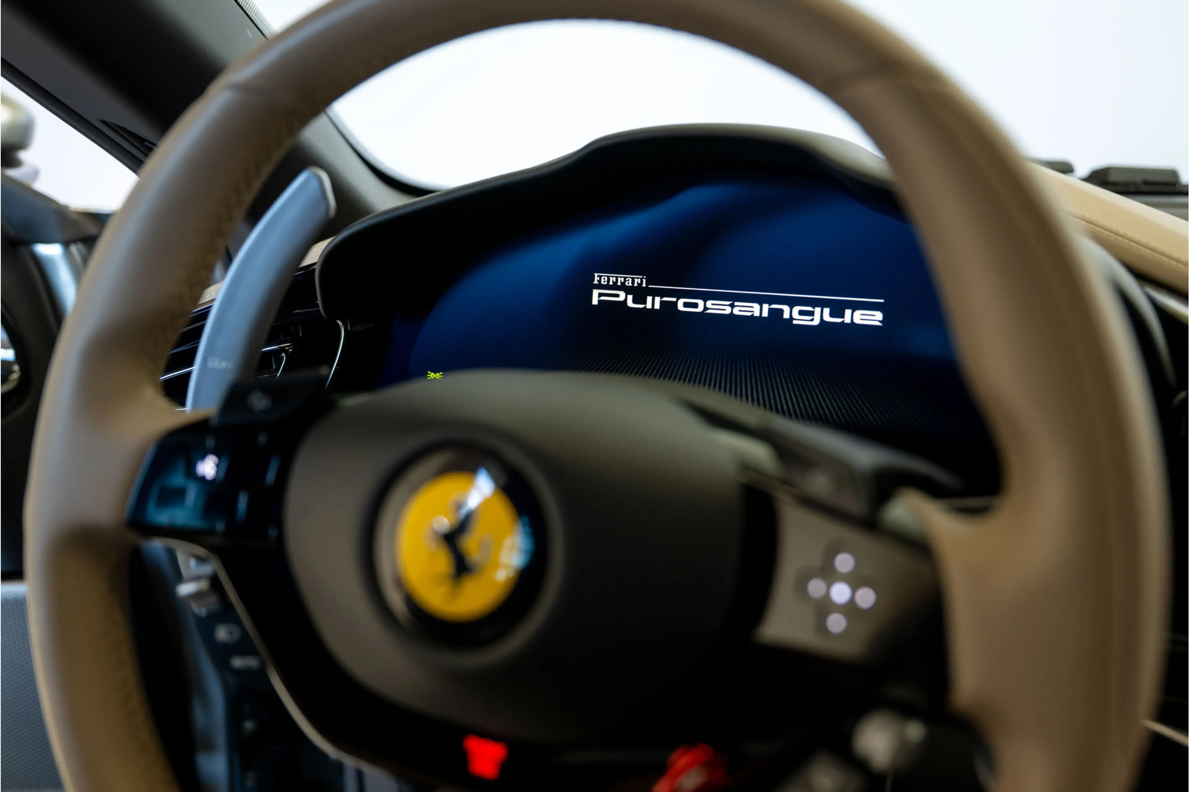 Ferrari Purosangue 6.5 V12 Pano, Lift, Burmester, Xpell — photo 14