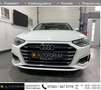 Audi A4 2.0TDI S tronic Avant ultra *LED*NAVI*SHZ*PDC Weiß - thumbnail 3