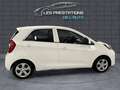 Kia Picanto II 1.0 66ch Active 5p Blanc - thumbnail 6