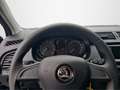 Skoda Fabia Combi Cool Plus 1.0 MPI Blau - thumbnail 12