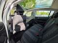 Peugeot 308 BlueHDi FAP 150 EAT6 Stop&Start Allure Weiß - thumbnail 5