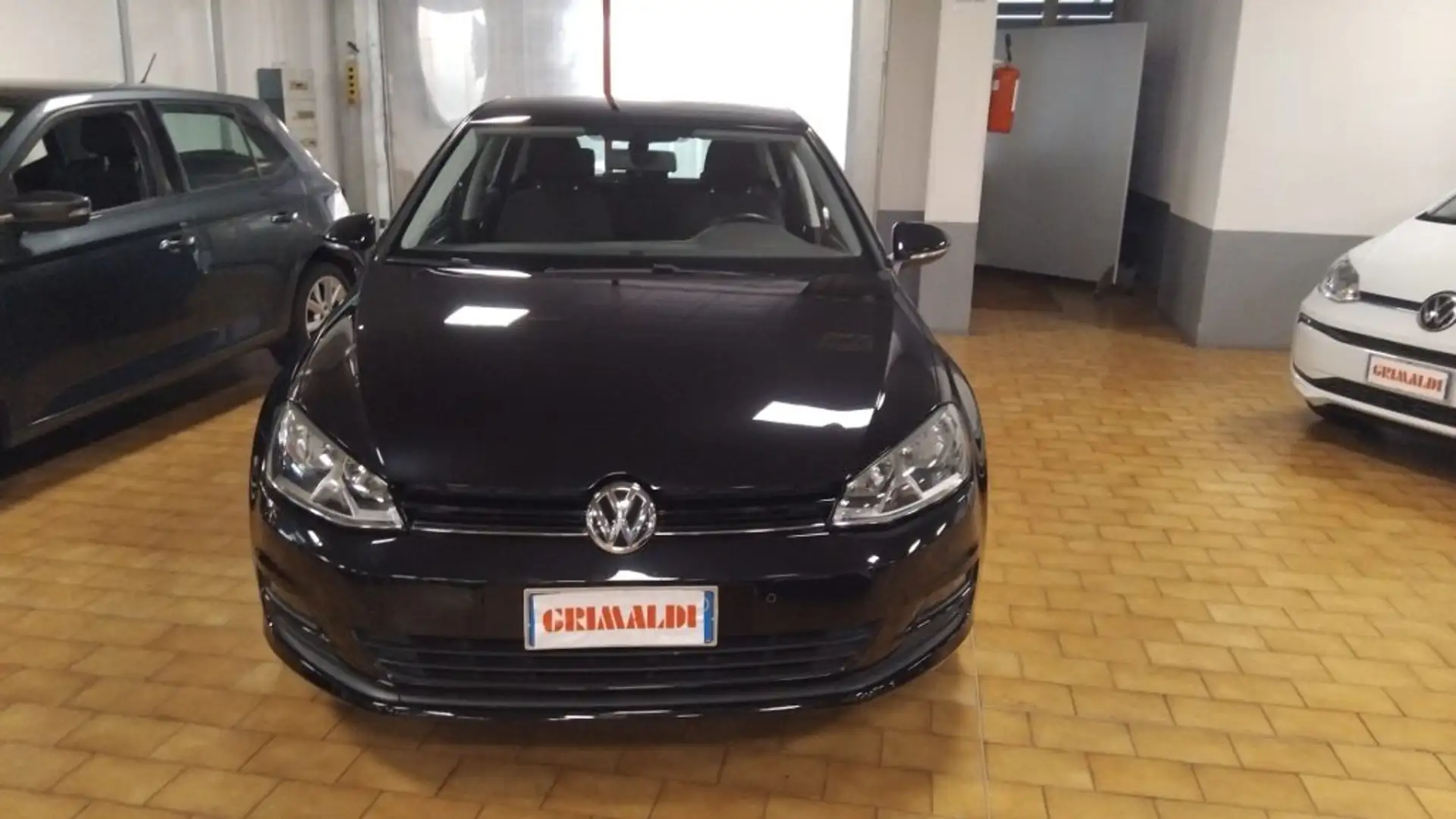 Volkswagen Golf 1.6 TDI 5p. Business Grigio - 1