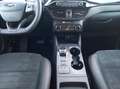 Ford Kuga 2.0 EcoBlue Aut. ST-LINE X Blau - thumbnail 12
