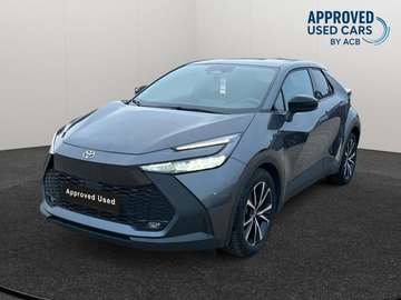 Dynamic Plus Mono-Tone