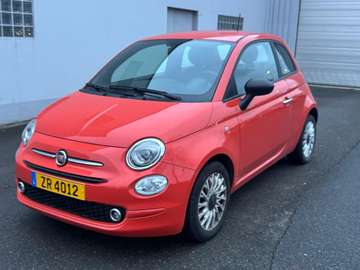 500 1.0 GSE Hybrid Cult