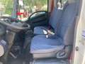 Isuzu NKR M 21 - RIBALTABILE TRILAT. Bianco - thumbnail 10