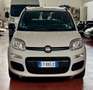Fiat Panda Panda 0.9 TwinAir Turbo Natural Power Easy Beige - thumbnail 7