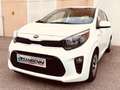 Kia Picanto Picanto 1.0 dpi City Bianco - thumbnail 1