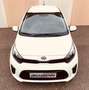 Kia Picanto Picanto 1.0 dpi City Bianco - thumbnail 10