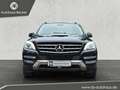 Mercedes-Benz ML 350 CDI+PANORAMA+XENON+LEDER+NAVI+20" ALU+PDC Schwarz - thumbnail 7
