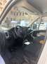 Fiat 2300 Fiat Ducato - thumbnail 1