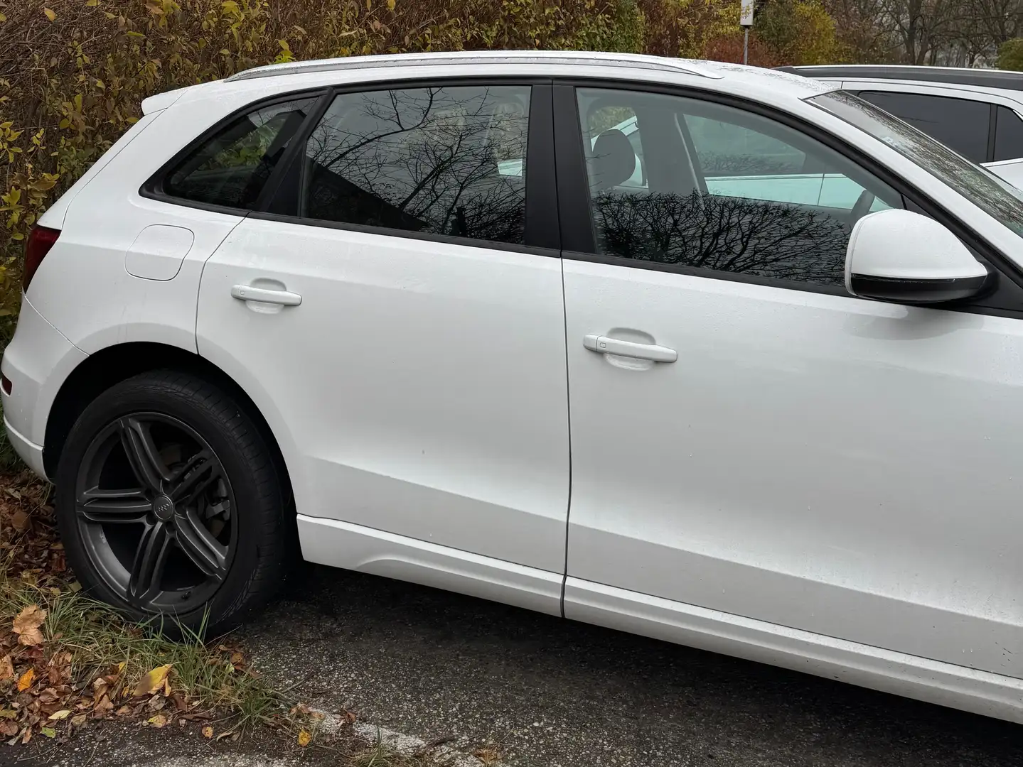 Audi Q5 Q5 2,0 TDI quattro DPF S-tronic Weiß - 2