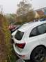 Audi Q5 Q5 2,0 TDI quattro DPF S-tronic Weiß - thumbnail 1