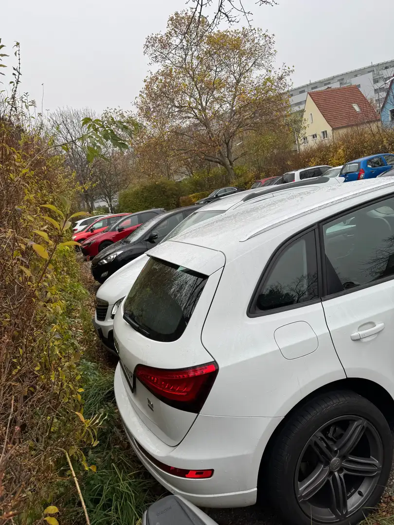Audi Q5 Q5 2,0 TDI quattro DPF S-tronic Weiß - 1