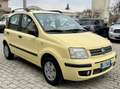 Fiat Panda 1.2 Alessi per Neopatentati unico proprietario Giallo - thumbnail 3
