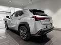 Lexus UX 250h UX 2019 2.0 Design 4wd cvt Argento - thumbnail 3