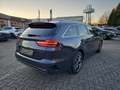 Kia Ceed SW / cee'd SW 1.5T 48V DCT Ultimate Edition Style-Paket Navi And Noir - thumbnail 18