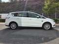 Ford S-Max S-Max 2.0 EcoBlue Aut. Titanium Blanc - thumbnail 6