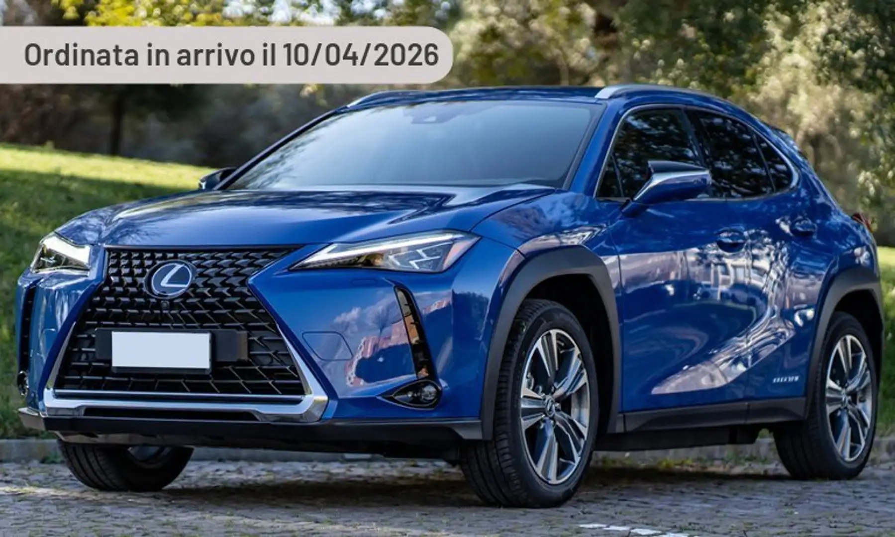 Lexus UX 300e UX 300e Urban Argento - 1