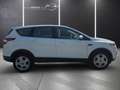 Ford Kuga 1,5 EcoBoost Trend AHK+TEMPOMAT Weiß - thumbnail 4