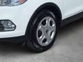 Ford Kuga 1,5 EcoBoost Trend AHK+TEMPOMAT Weiß - thumbnail 10