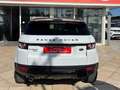 Land Rover Range Rover Evoque 2.0 180CV PRESTIGE XENON PELLE TETTO 19" Weiß - thumbnail 5