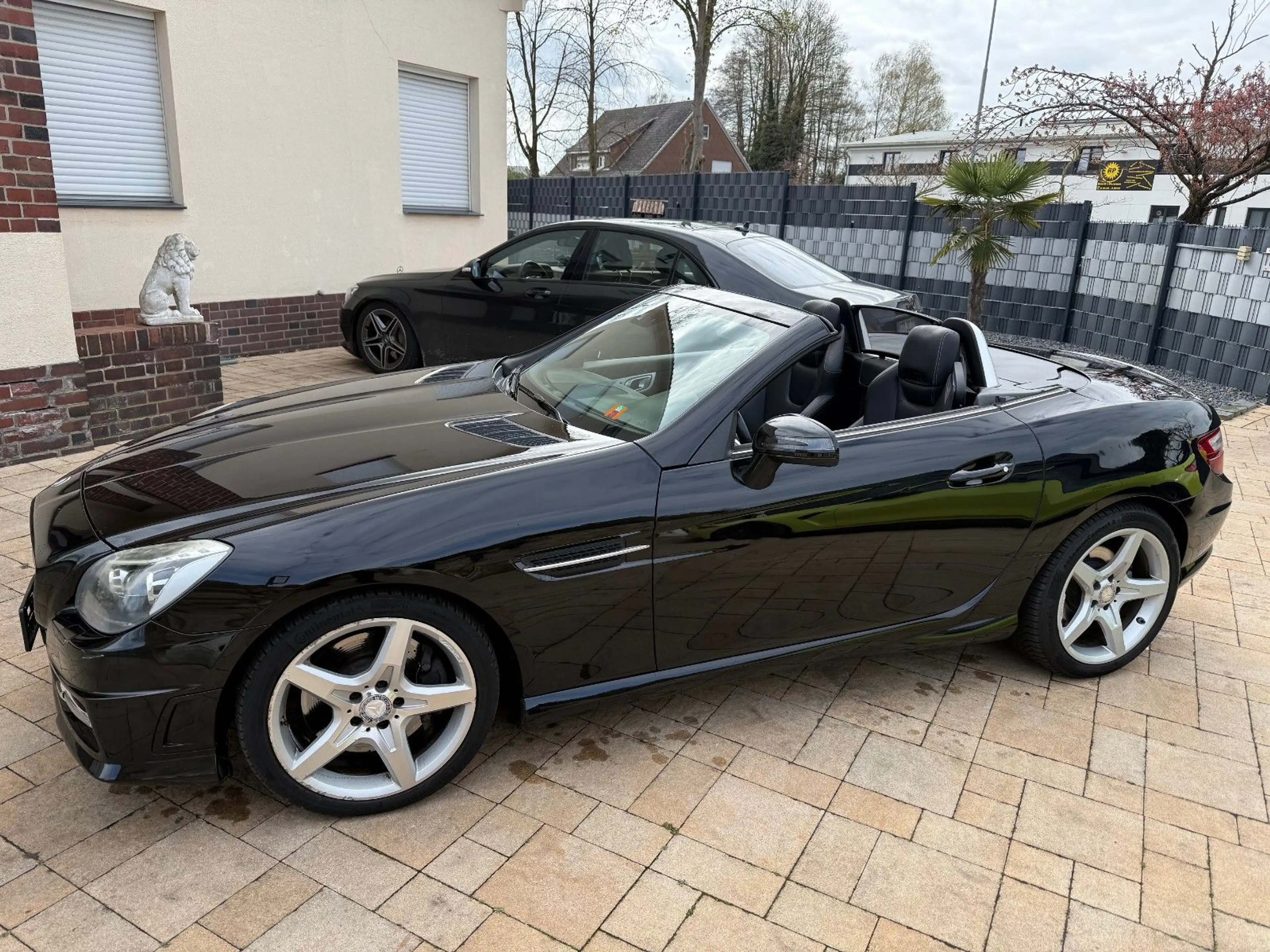 Mercedes-Benz SLK 250 250 SLK Roadster+AMG Styling+Pano+Harman+Airscr+ — photo 8