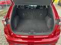 Ford Kuga Plug-In Hybrid ST-Line X LED Winter Paket Rot - thumbnail 7