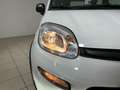 Fiat Panda City Life Hybrid 1.0 70cv Blanco - thumbnail 4