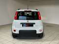 Fiat Panda City Life Hybrid 1.0 70cv Blanco - thumbnail 6